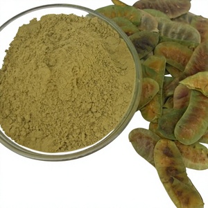 Polvo de cápsulas de senna, polvo de cápsulas de senna secas, polvo de cápsulas de Cassia Angustifolia, polvo de cápsulas de senna al por mayor - Product Image 1