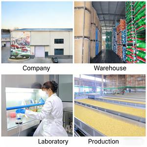 Enzima Solubilizadora de Fosfatos, Aminoácidos de Grado Alimenticio, Resistentes a Altas Temperaturas, Mejoran la Utilización de Nutrientes en los Alimentos, ISO9001 - Product Image 5