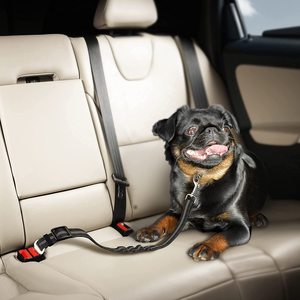Cinturón de Seguridad Ajustable para Mascotas KingHon, Hebilla de Seguridad para Perros en el Auto, Cuerda de Seguridad Telescópica Elástica de Alta Resistencia para Mascotas - Product Image 4