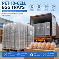 Boîte à œufs en plastique PET transparent de qualité alimentaire, plateau à œufs 12 alvéoles avec couvercle à charnière, emballage en vrac pour l'agriculture