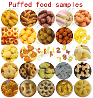 Nouvelle machine extrudeuse de snacks à double vis entièrement automatique pour la fabrication de céréales soufflées (riz/maïs) – Haute productivité, en acier inoxydable 304