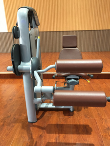 Vente directe d'usine d'équipements de musculation pour la maison et les salles de sport commerciales, machine de musculation pour les bras, <span class=keywords><strong>extension</strong></span> des triceps LD-7028 LAND FITNESS - Product Image 5