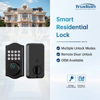 Cerradura de Puerta Inteligente con Acceso Electrónico por Contraseña, Magnética, sin Llave, Automática, para Puertas de Acero/Madera
