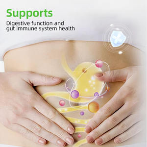 โรงงาน OEM ODM ผลิตภัณฑ์โปรไบโอติกเหลวออร์แกนิก บำรุงสุขภาพทางเดินอาหาร ช่วยเสริมการทำงานของระบบย่อยอาหาร สำหรับผู้หญิง ผู้ชาย และเด็ก - Product Image 2