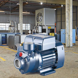 Pompe à eau Pedro PEDROLO PKM60, pompe à eau basse pression Pedro - Product Image 4