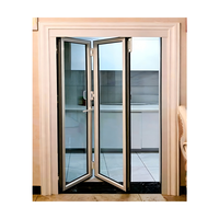 Puerta Plegable de Aluminio y Vidrio para Estación de Investigación de Gran Altitud, Aislamiento para Frío Extremo, Resistente al Viento, 5 Años de Garantía, para Baño o Villa