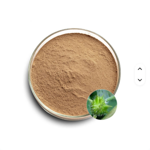 Poudre d'extrait naturel de Gokhru pour le bien-être à base de plantes, ingrédient de complément alimentaire à base de plantes, Tribulus Terrestris - Product Image 2