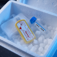 Thermo-hygromètre à glace sèche à usage unique -85°C ultra basse température USB jetable ABS Modèle PDF-L Rapport PDF CSV Chaîne du froid