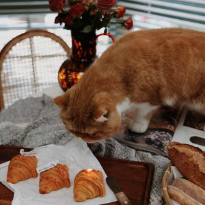 Nouvelle conception de décoration, bougies parfumées en cire de soja écologiques, mignonnes, en forme de croissants, art culinaire pour desserts - Product Image 4
