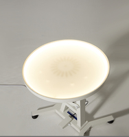 Table de toilettage pour animaux de compagnie en acrylique et acier inoxydable souple, rotative, à levage pneumatique, avec éclairage LED rechargeable, sûre et facile à utiliser YM-Q201LP