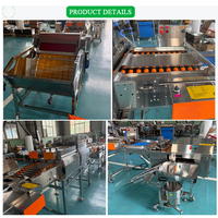 Chaîne de production complète pour usine de protéines liquides : machine de lavage, séchage et test d'œufs de qualité alimentaire, et petit séparateur d'œufs pour la production de liquide d'œuf