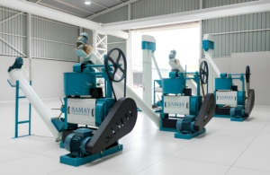 SAMAY EXPELLER Nueva Máquina Automática de Extracción de Aceite de Linaza y Mostaza de 4 Toneladas, 37 HP, de Hierro Fundido de Alta Resistencia, Filtración Eficiente - Product Image 5