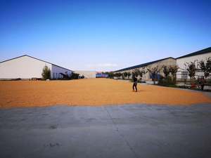 Aceite de Coco <span class=keywords><strong>para</strong></span> Hacer <span class=keywords><strong>Palomitas</strong></span> de Maíz, Precio Económico al por Mayor, el Mejor Aceite <span class=keywords><strong>para</strong></span> <span class=keywords><strong>Palomitas</strong></span> de Maíz en EE. UU. y Canadá - Product Image 6