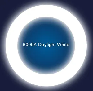Lampu lingkaran LED putih dingin, 100LM/W 9W 12W 16W 4P G10Q Base T9