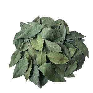 Hojas de Laurel mediterráneo de primera calidad al por mayor hoja de laurel seca natural 5-10cm especias de hierbas seleccionadas y recogidas a mano caja de 10kg - Product Image 3