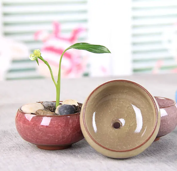 Ceramic Mini Cactus Plant Pots Flower Pots Container Planter Ice Crack Succulent Pots Teacup Planter for Wholesale