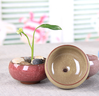 Mini-pots en céramique émaillée en gros pour la maison, idéaux pour les cactus, les succulentes et comme pots à thé effet craquelé