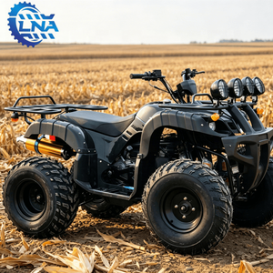 Cuatrimotos LNA a <span class=keywords><strong>Precio</strong></span> Accesible, Motor de Gasolina de 250cc, para Turismo y Negocios - Product Image 6