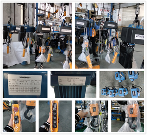 1ton 2ton 3ton 5ton Xe đẩy móc loại tốc độ gấp đôi đi du lịch HH tiêu chuẩn Châu Âu Chain hoist Electric - Product Image 4