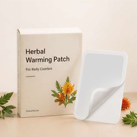 Patch chauffant aux herbes, plâtre à l'armoise et au moxa, certifié CE, pour le soulagement des douleurs articulaires et musculaires, usine OEM