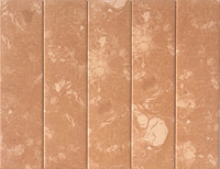 A753M22 Nouveau design 75*300mm Carreaux de sol et de mur en céramique rustique mate antidérapants pour salle de bain de villa Certifiés CE Qualité supérieure