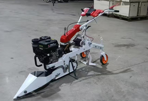 Récolteuse <span class=keywords><strong>d</strong></span>'ail portative à essence 6HP, cueilleuse <span class=keywords><strong>d</strong></span>'ail autoportée à haute efficacité et économie de main-<span class=keywords><strong>d</strong></span>'œuvre pour usage agricole en petite exploitation - Product Image 5
