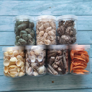 Bán Buôn DIY Trang Trí Nội Thất Nhỏ Sò Vỏ Thủ Công Mỹ Nghệ Động Vật Cho Aquarium Cảnh Seashells Thủ Công Mỹ Nghệ Chai Đóng Gói - Product Image 6