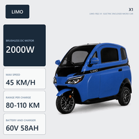 Voiture électrique fermée mini certifiée CEE/COC européenne, 45 km/h, mini-tricycle électrique à deux portes, scooter de mobilité