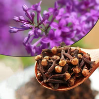 Jujihuaou — épices naturelles, vente en gros, à bas prix, vêtements secs, mycium, collection