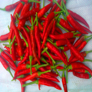 Vente en gros de piment rouge séché aux épices et herbes naturelles piment piquant Ghost - Product Image 1