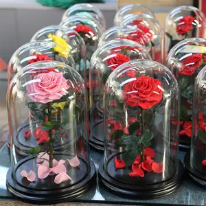 Valentinstag Geschenke D12cm H22cm Glaskuppel für immer Rosen konserviert Blume Rose in Glaskuppel