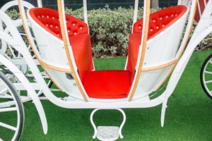 Carruaje de Caballos Personalizado y Elegante de 4 y 6 Plazas para Transporte Especial, Bodas, en Venta en Europa - Product Image 6