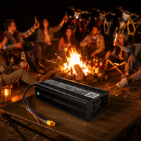 Chargeur de batterie au plomb-acide haute performance 600W avec 7 types de connecteurs en option