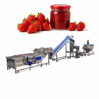 Kleine tomatenpuree productielijn, jam productielijn voor tomaten- en aardbeienjam productie.