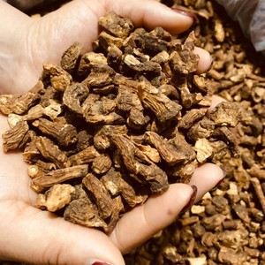 Xanadu สมุนไพรธรรมชาติสำหรับดีท็อกซ์รากดอกแดนดิไลออนคั่วแห้งสมุนไพรทิซานลำไส้เพื่อสุขภาพกรัม/แพ็คสมุนไพรรักษาแบบบริสุทธ์ - Product Image 6