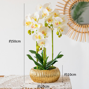 Nouveau style luxe 3D toucher réel phalaenopsis fleur artificielle or en pot <span class=keywords><strong>Dendrobium</strong></span> plante <span class=keywords><strong>Orchidée</strong></span> artificielle en pot - Product Image 6