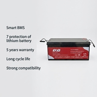 Batterie solaire au lithium rechargeable haute performance ESG 12,8V 25,6V 100Ah 200Ah 300Ah Cellule de batterie au lithium-ion Lifepo4
