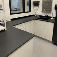 Plan de travail de laboratoire en résine phénolique, sur mesure, pour table de laboratoire