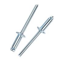 100 rivets aveugles à tête ronde en fer, norme nationale M2-M6, type ouvert, zingués bleus, anti-corrosion, pour machines OEM