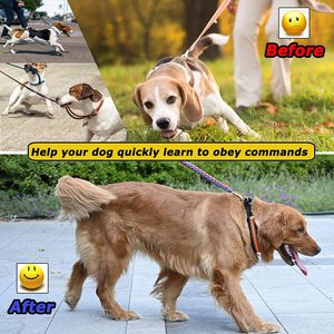 Nibao Hond Pinch Kraag, Prong Dog <span class=keywords><strong>Training</strong></span> Kraag Met Afneembare Quick-Release Gesp - Product Image 4