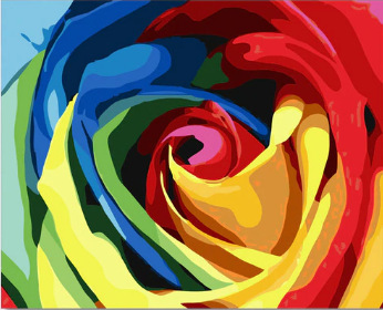 7753 colorful roses