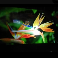 Projecteur 4K 3D Écrans de projection holographique Film de projection transparent