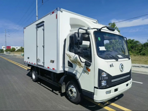 Réfrigérateur de transport d'aliments frais pour <span class=keywords><strong>remorque</strong></span> Shanxi Delong G1 Truck avec suspension pneumatique - Product Image 6