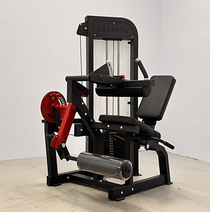 Appareil de musculation professionnel à charge libre pour extensions et curls des jambes, double fonction, robuste et réglable, pour l'entraînement des muscles du bas du corps en salle de sport - Product Image 2