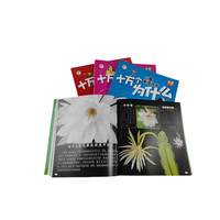Impresión de Libros Infantiles Personalizados al por Mayor, Coloridos, con Dibujos Animados, Reutilizables, para la Educación Temprana y el Desarrollo Cognitivo, con Encuadernación Perfecta
