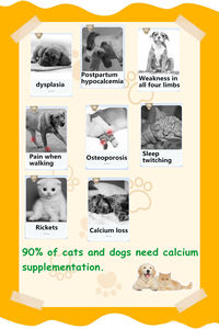 Las tabletas de calcio para mascotas pueden ayudar a prevenir la deficiencia de calcio en cachorros y gatitos - Product Image 2