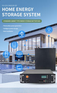 टिपसन 51.2v 100h 5kwh रैक घुड़सवार लाइफ 4 लिथियम बैटरी 5000 चक्र जीवन घर सौर ऊर्जा भंडारण प्रणाली - Product Image 4