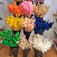 Bouquets de Lagurus séchés naturels de haute qualité, herbe à queue de lapin - 60 tiges, fleurs décoratives pour mariage, maison, fête des mères, Noël