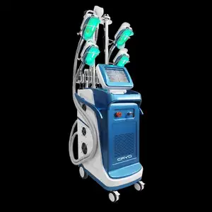 5 Handvatten Liposuctie Cryolipolyse Machine Cryolipolyse Machine Verliezen Gewicht/Buik Afslankmachine/Cryo Minceur Machine