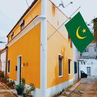 Drapeaux de la Mauritanie en gros 3x5 pieds, polyester 68D/100D, personnalisables, livraison rapide d'un fournisseur fiable